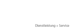 ds logo